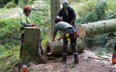Bûcheron H / F – LE CHAMBON FEUGEROLLES
