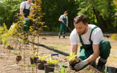 Paysagiste H / F – MONISTROL SUR LOIRE
